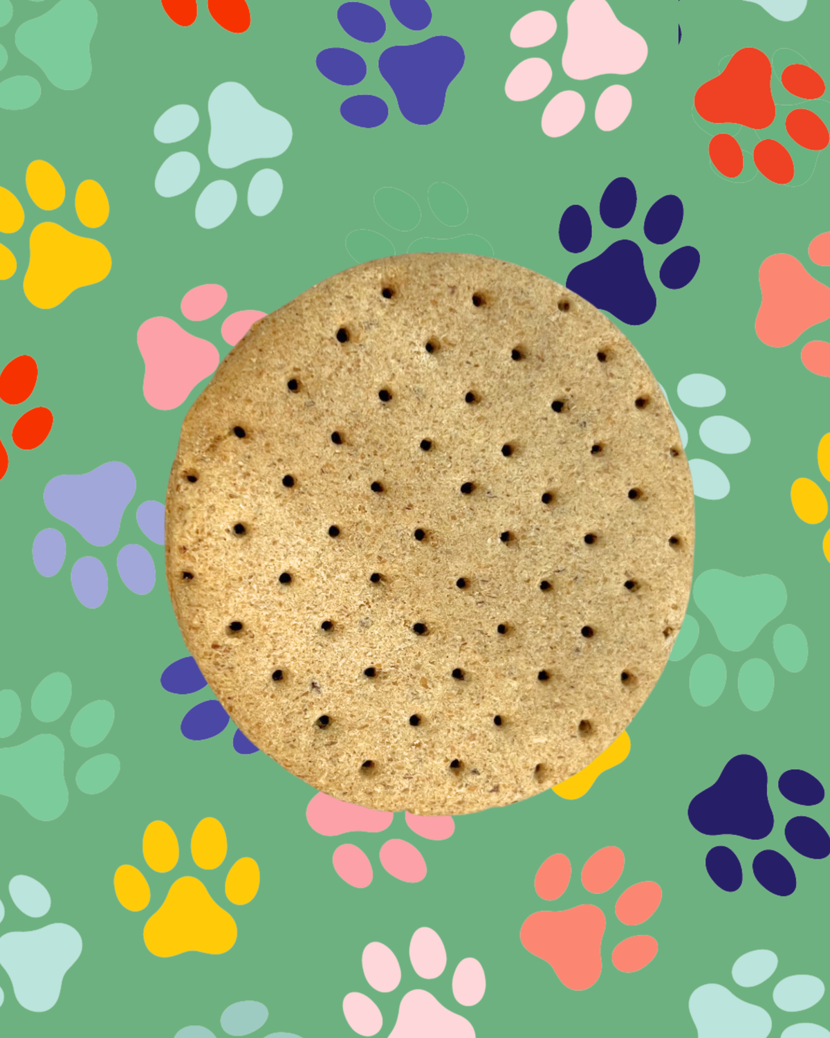 Biscuit's Dog Biscuit