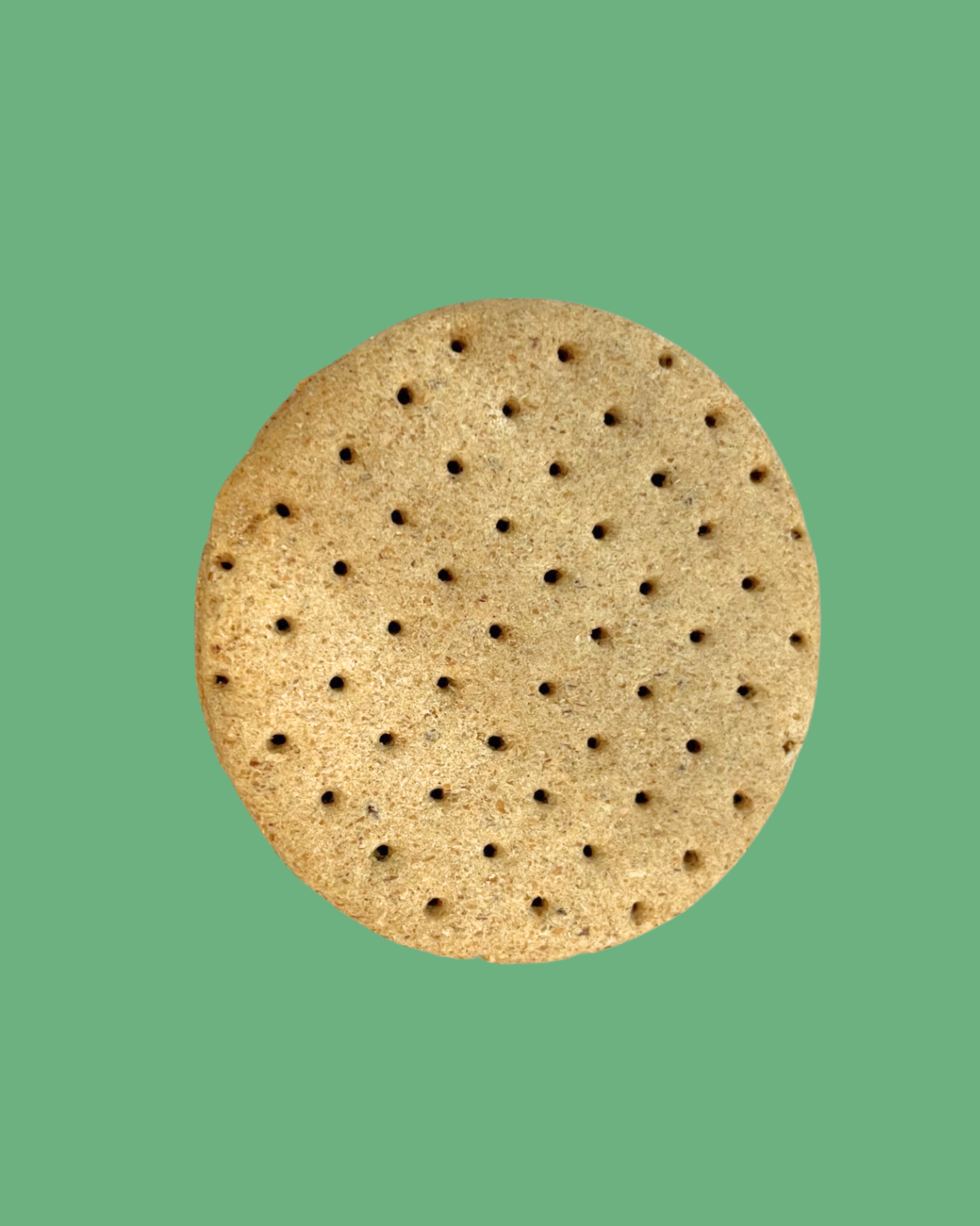 Biscuit's Dog Biscuit