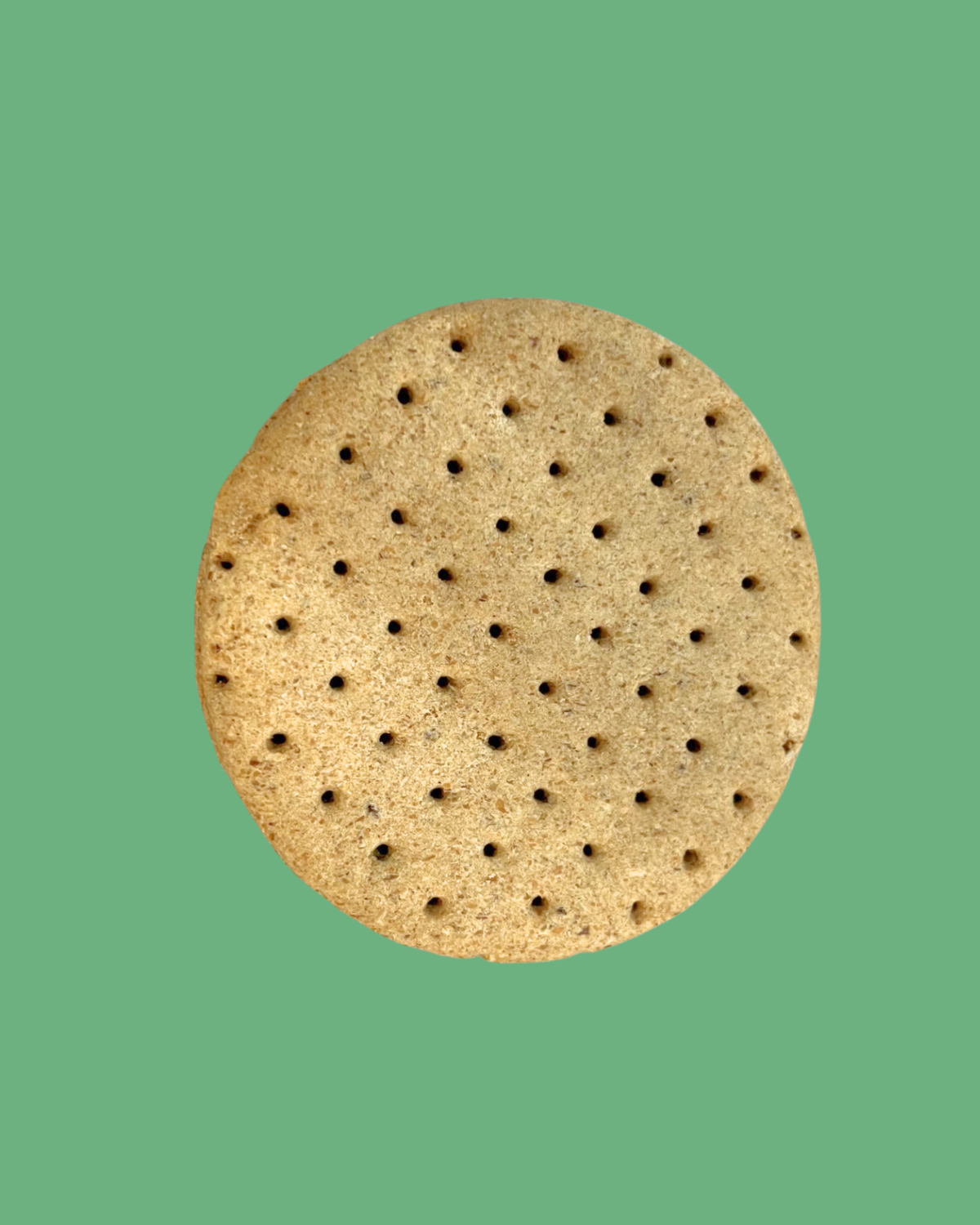 Biscuit's Dog Biscuit