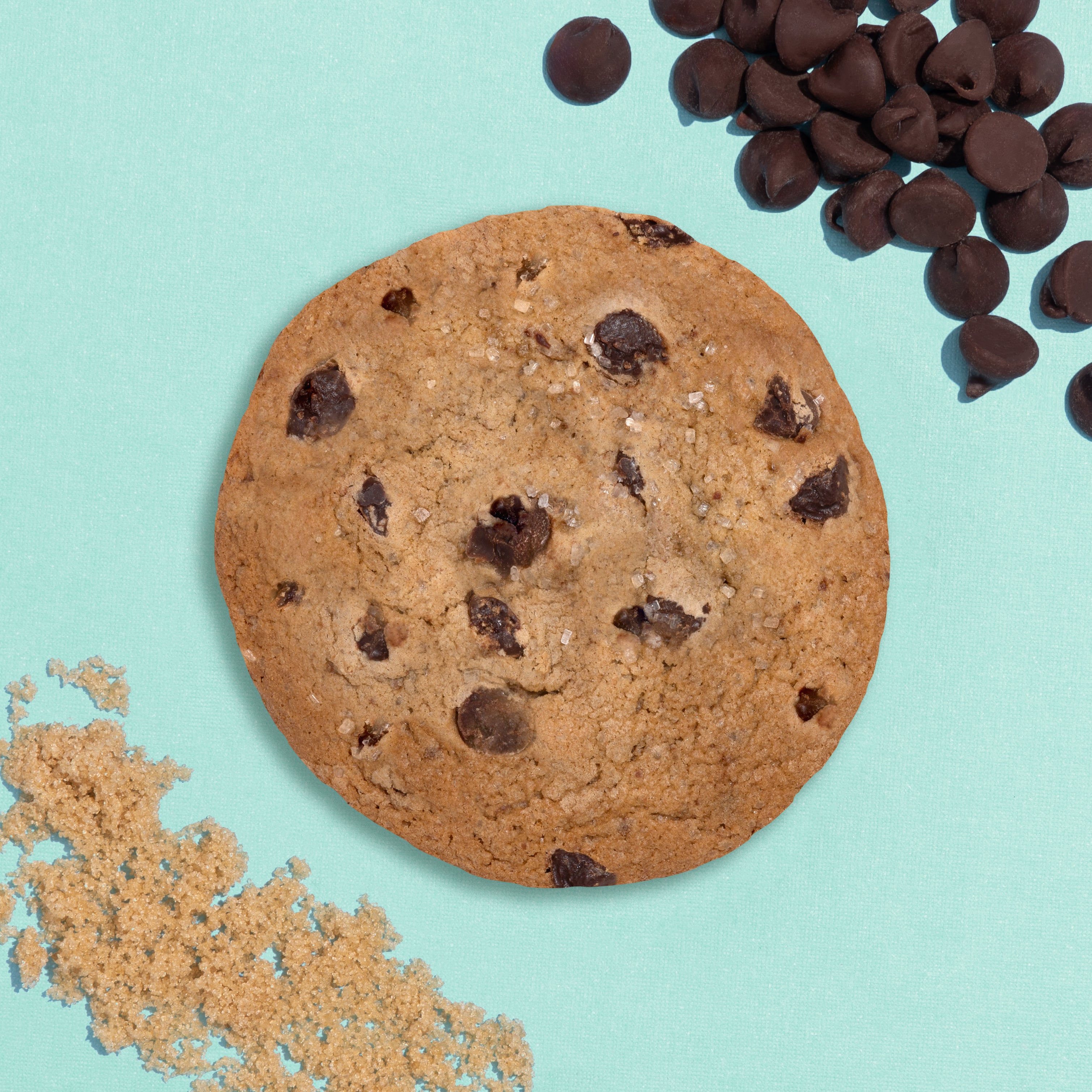 Chocolate Chip Cookie