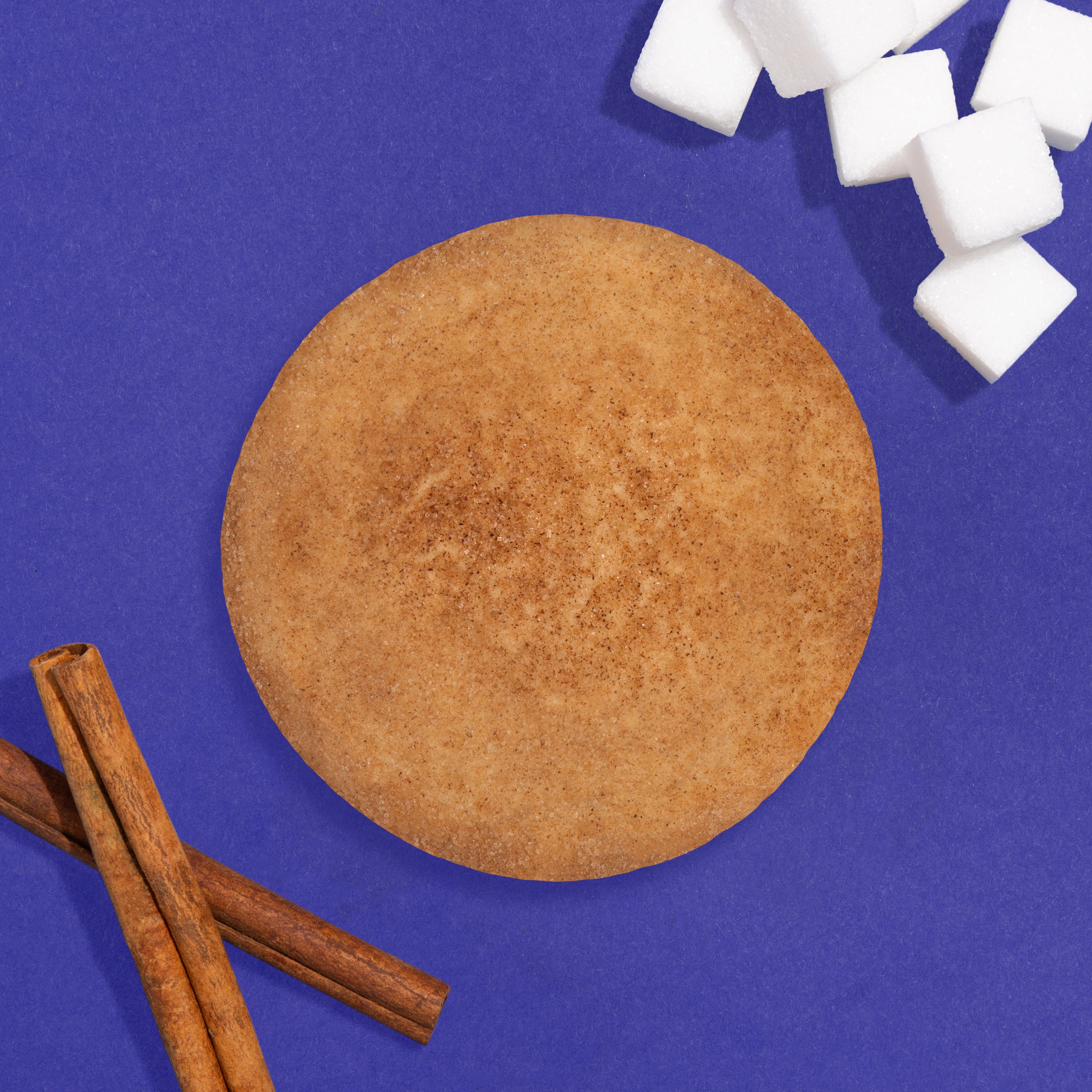 Gram’s Snickerdoodle Cookie